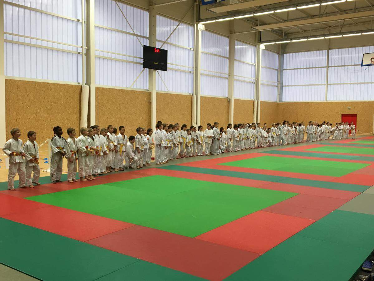 club judo houplines