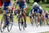 course thaon les vosges