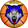 logo du club Sully Basket