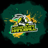 logo du club LA CHAPELAINE HANDBALL