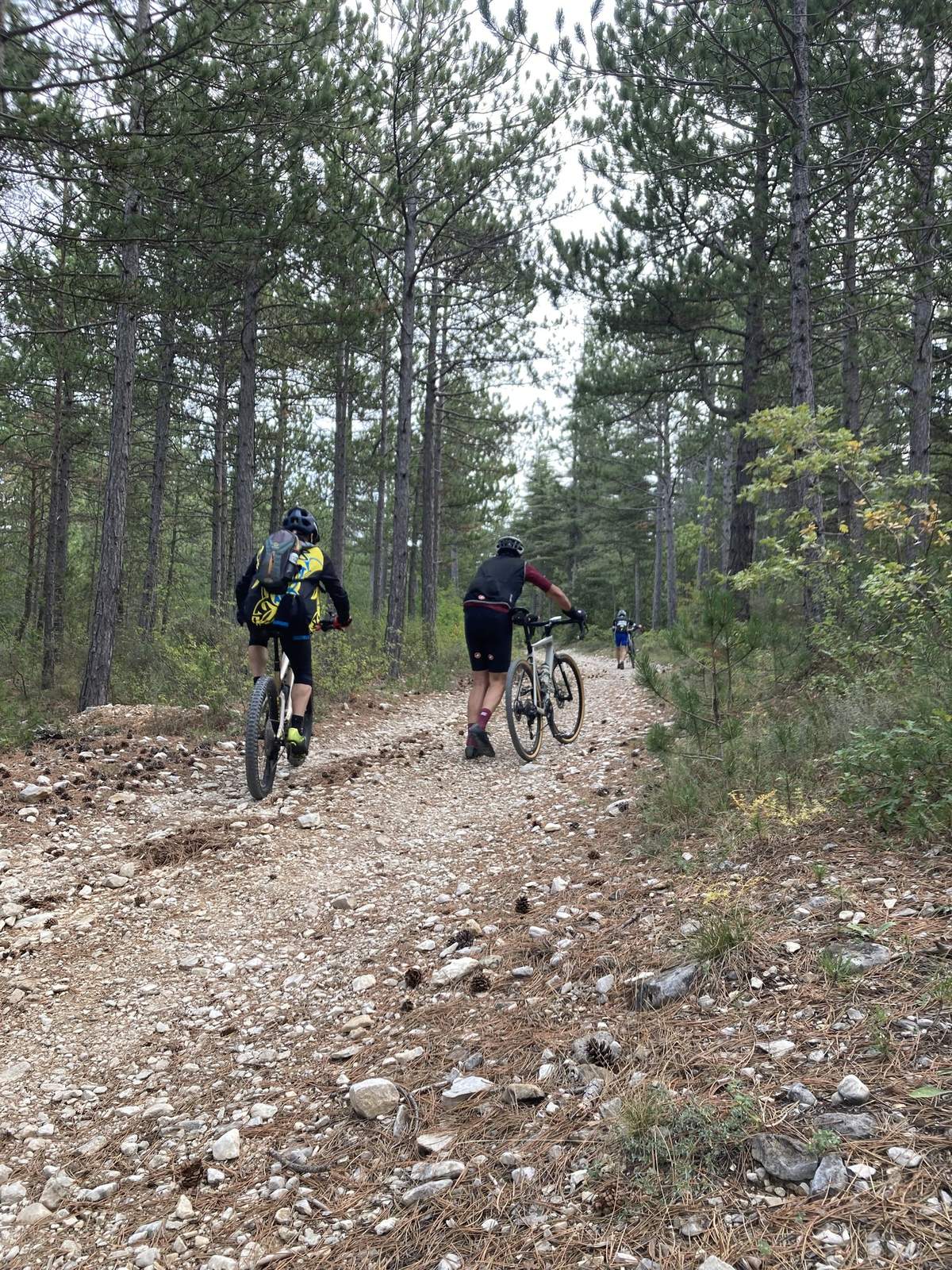 Album - Bédoin/Mt Ventoux/Pas De La Frache/Bédoin -... - Club ...