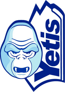 logo du club Alpe d'Huez Hockey Club
