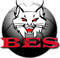 logo du club BASKET EN SEGALA