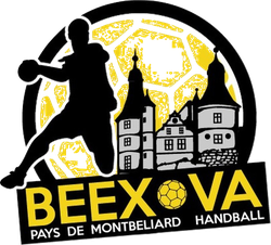 logo du club BEEX-VA PM HB