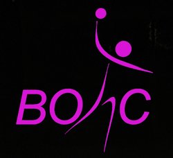 logo du club Belmont Olympique Handball Club