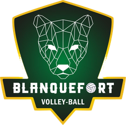 logo du club E.S. BLANQUEFORT VOLLEY