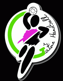 logo du club GÂTINE HANDBALL
