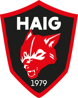 logo du club Handball Association Illkirch Graffenstaden