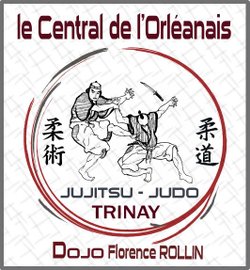 logo du club Le Central jujitsu judo de l'orléanais