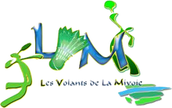 logo du club ANCIEN SITE du LVM