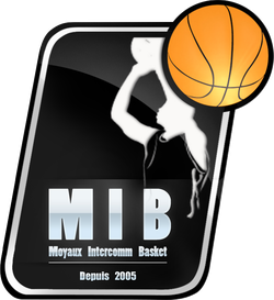 logo du club Moyaux Intercommunalité Basket