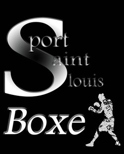 logo du club SPORT ST LOUIS BOXE