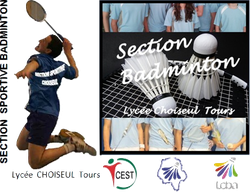 logo du club Section Sportive  Scolaire Badminton Choiseul Tours