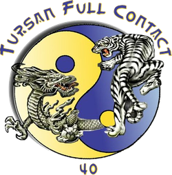 logo du club Tursan Full Contact