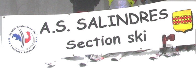 logo du club Association Salindroise de Ski