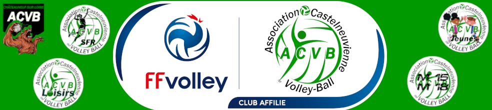 Association Castelneuvienne de Volley-Ball : site officiel du club de volley-ball de Châteauneuf-sur-Loire - clubeo