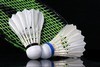 Comité Départemental de l'Indre de Badminton : site officiel du club de badminton de CHATEAUROUX - clubeo