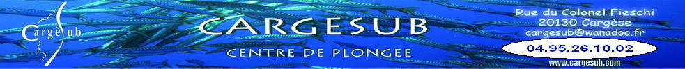 Centre de Plongée CARGESUB : site officiel du club de sports sous-marins de CARGESE - clubeo