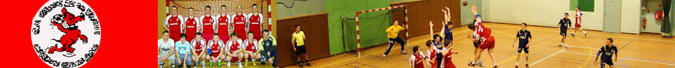 CS.VALLEE DE LA VANNE HANDBALL : site officiel du club de handball de VILLENEUVE L ARCHEVEQUE - clubeo