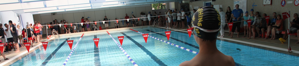 Dauphins Aixois : site officiel du club de natation de Aixe-sur-Vienne - clubeo