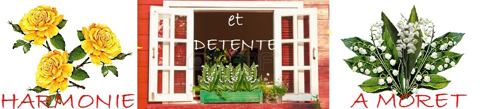 Harmonie et Détente à Moret : site officiel du club de gymnastique de MORET SUR LOING - clubeo