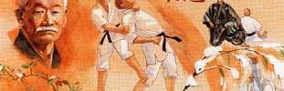 JUDO CLUB  88 CHARMES : site officiel du club de judo de CHARMES - clubeo