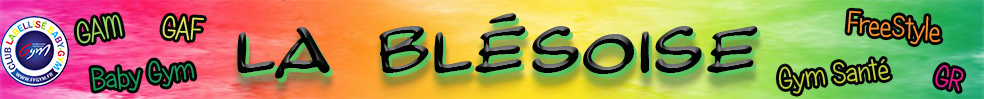 La Blésoise : site officiel du club de gymnastique de BLOIS - clubeo