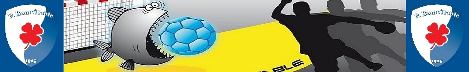 SHPBonnétable : site officiel du club de handball de BONNETABLE - clubeo